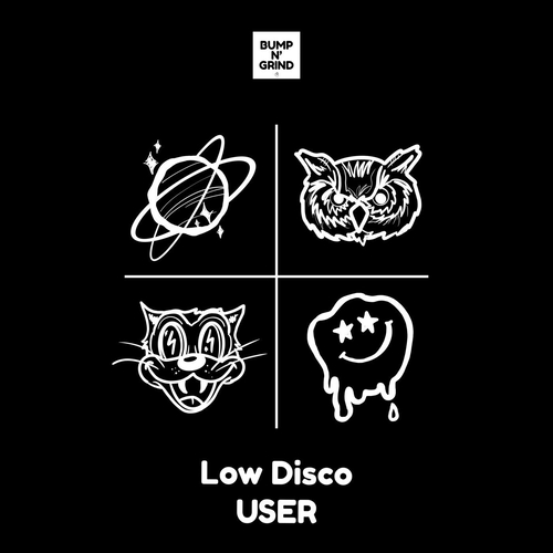 Low Disco - USER [BNG074]